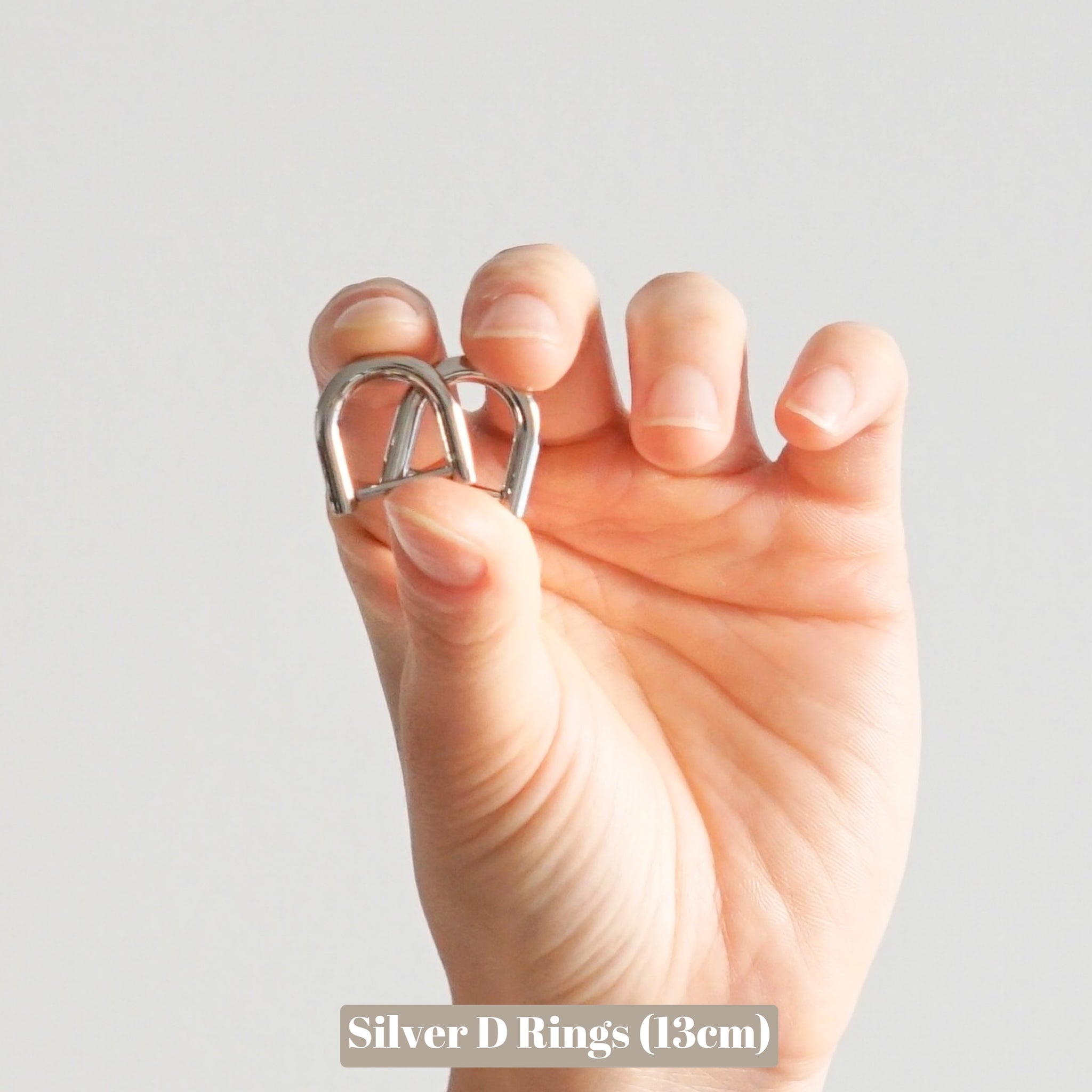 Louis Vuitton LV Nice Nano D-ring